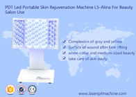 PDT بقيادة المحمولة تجديد الجلد آلة L5-Alina لآلة الجمال