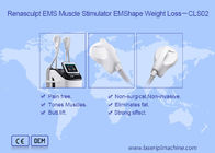 2.3KVA Body Slimming 220v 300µS EMS محفز العضلات