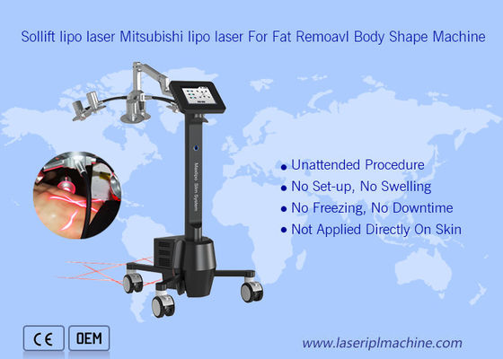 سعر جيد 220 فولت المحمولة آلة Cryolipolysis 6d Lipolaser Zerona Beauty الانترنت