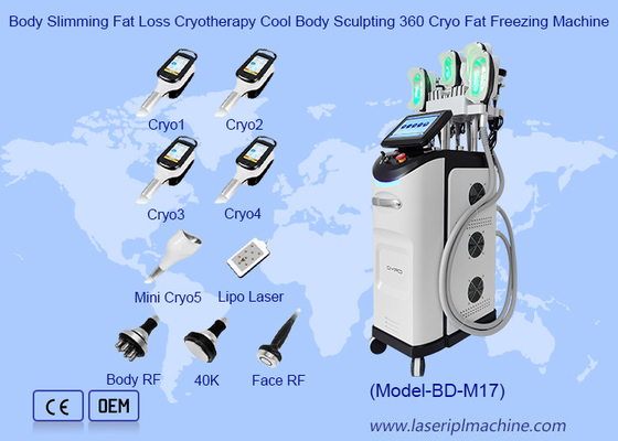 إنقاص الدهون في الجسم العلاج بالباردة النحت الجسم 360 Cryo الدهون آلة التجميد