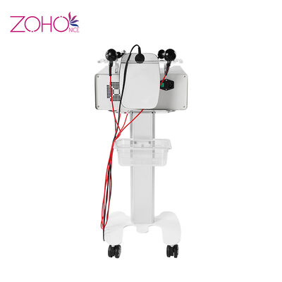 سعر جيد سكين الدهون تشكيل الجسم وتجديد الجلد 220 فولت RF آلة الجمال RET CET الانترنت