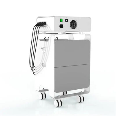 سعر جيد معدات الترددات الراديوية Eswt لتسكين آلام الظهر والعناية الصحية الانترنت