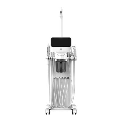 سعر جيد الـ Hydrafacial Water Dermabrasion تقشير البشرة تبييض الجلد آلة الـ Aqua Oxygen للشعر الانترنت