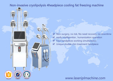 Cryolipolysis فقدان الدهون تجميد آلة التخسيس آلة فراغ التجويف الترددات اللاسلكية