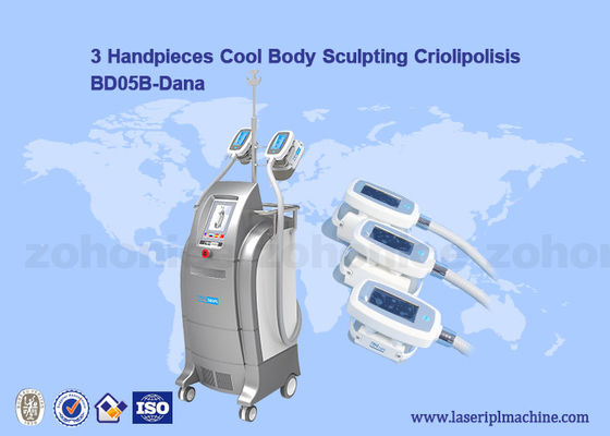 سعر جيد Vacuum Cryolipolysis / Cool Body Sculpting Membrane / Criolipolisis Cellulite Reduction Machine الانترنت