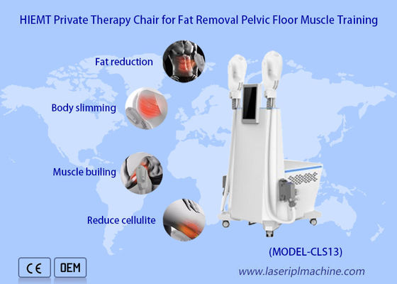 سعر جيد 2 مقابض Buttbuck رفع وفقدان الوزن آلة Ems نحت تدليك العضلات الانترنت
