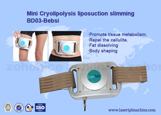 سعر جيد مصغرة الرئيسية استخدام جهاز الجمال Cryolipolysis تجميد الدهون وسادات آلة آلة العلاج بالتبريد الانترنت