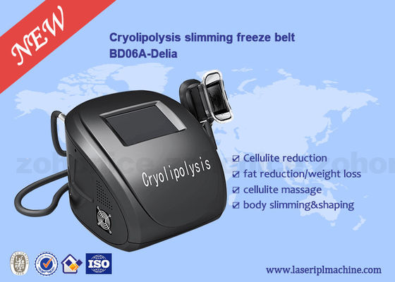 سعر جيد Portable Body Sculpting Cryolipolysis Slimming And Weight Loss Machine الانترنت
