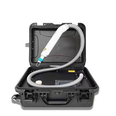 سعر جيد كيس العربة 1064nm 532nm 1320nm Q Switch Nd Yag ليزر إزالة الوشم الانترنت