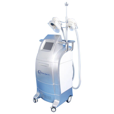 سعر جيد Vacuum Cryolipolysis / Cool Body Sculpting Membrane / Criolipolisis Cellulite Reduction Machine الانترنت