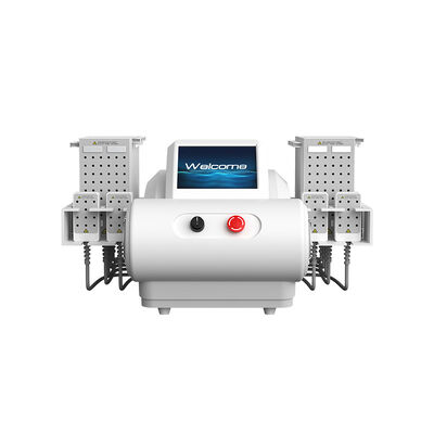 سعر جيد 635nm 650nm 940nm 980nm ليزر الديود EMS لوحة شفط الدهون آلة تخفيف الوزن الجسم الانترنت