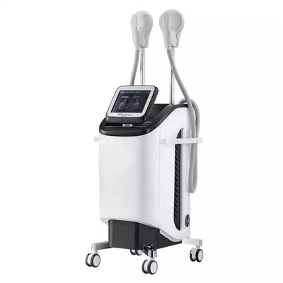 سعر جيد 2.3KVA 220 فولت آلة تنحيف الجسم التجويف الكهرومغناطيسي الانترنت