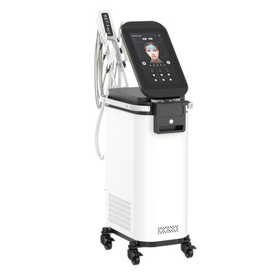 سعر جيد EMRF الجبهة الخد المزدوجة العيون رفع الجلد تشديد RF ems V وجه آلة الانترنت