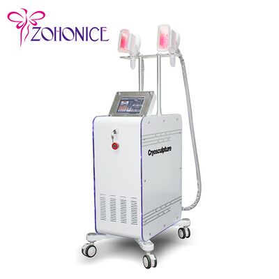سعر جيد 2 Changeable Handle Cryolipolysis Slimming Machine With Antifreezing Membrance الانترنت