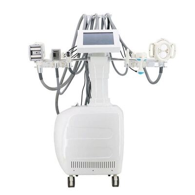 سعر جيد Cavitation Cryolipolysis Slimming Machine  RF BIO Vacuum Theory for Salon الانترنت