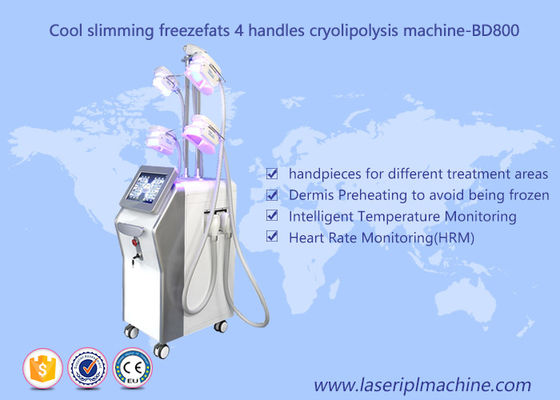سعر جيد 4 التعامل مع فقدان الوزن Cryolipolysis آلة / تجميد الدهون فراغ آلة التخسيس التجويف الانترنت