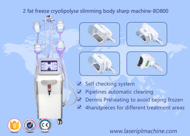 شكل الجسم Cryolipolysis آلة التخسيس ، يبو Cryo Cryolipolysis معدات التجميل