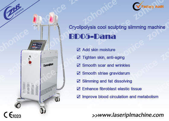 سعر جيد 2 Changeable Handle Cryolipolysis Slimming Machine With Antifreezing Membrance الانترنت