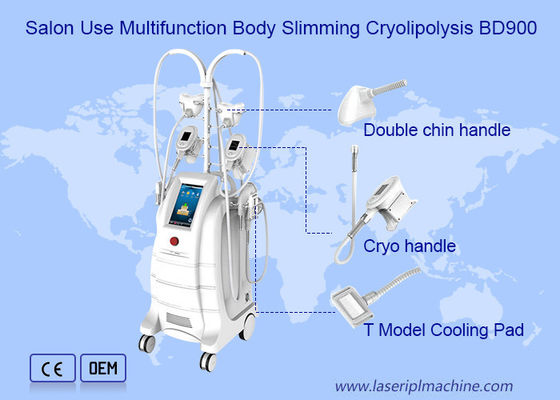سعر جيد صالون التخسيس 800VA Cryolipolysis التخسيس الانترنت