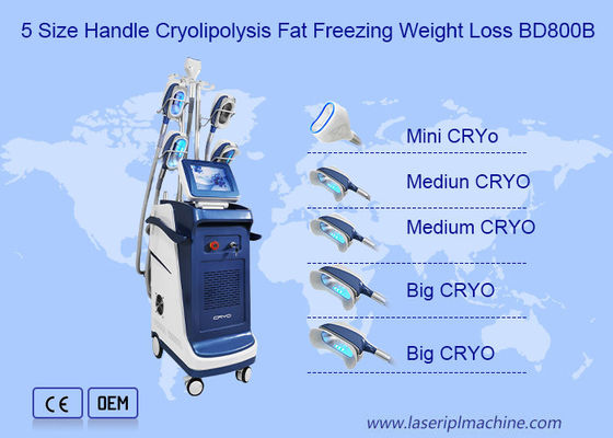 سعر جيد 360 زاوية عمودي مزدوج الذقن Cryolipolysis التخسيس آلة الانترنت